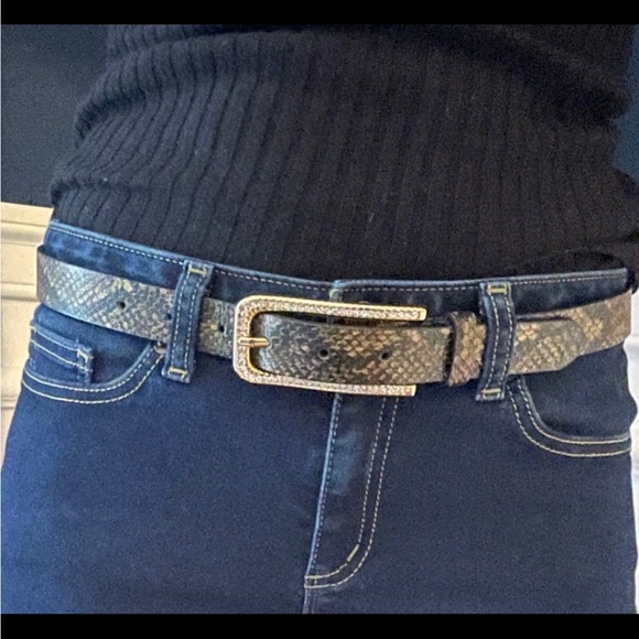 Express Belt - Picture 2 of 6